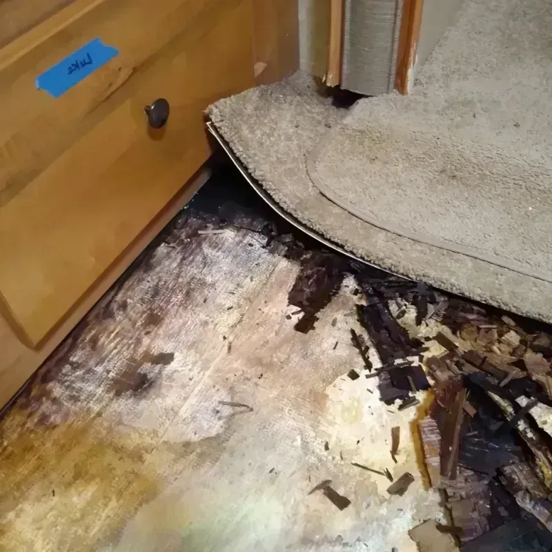 Wood Floor Water Damage in Belvidere, IL